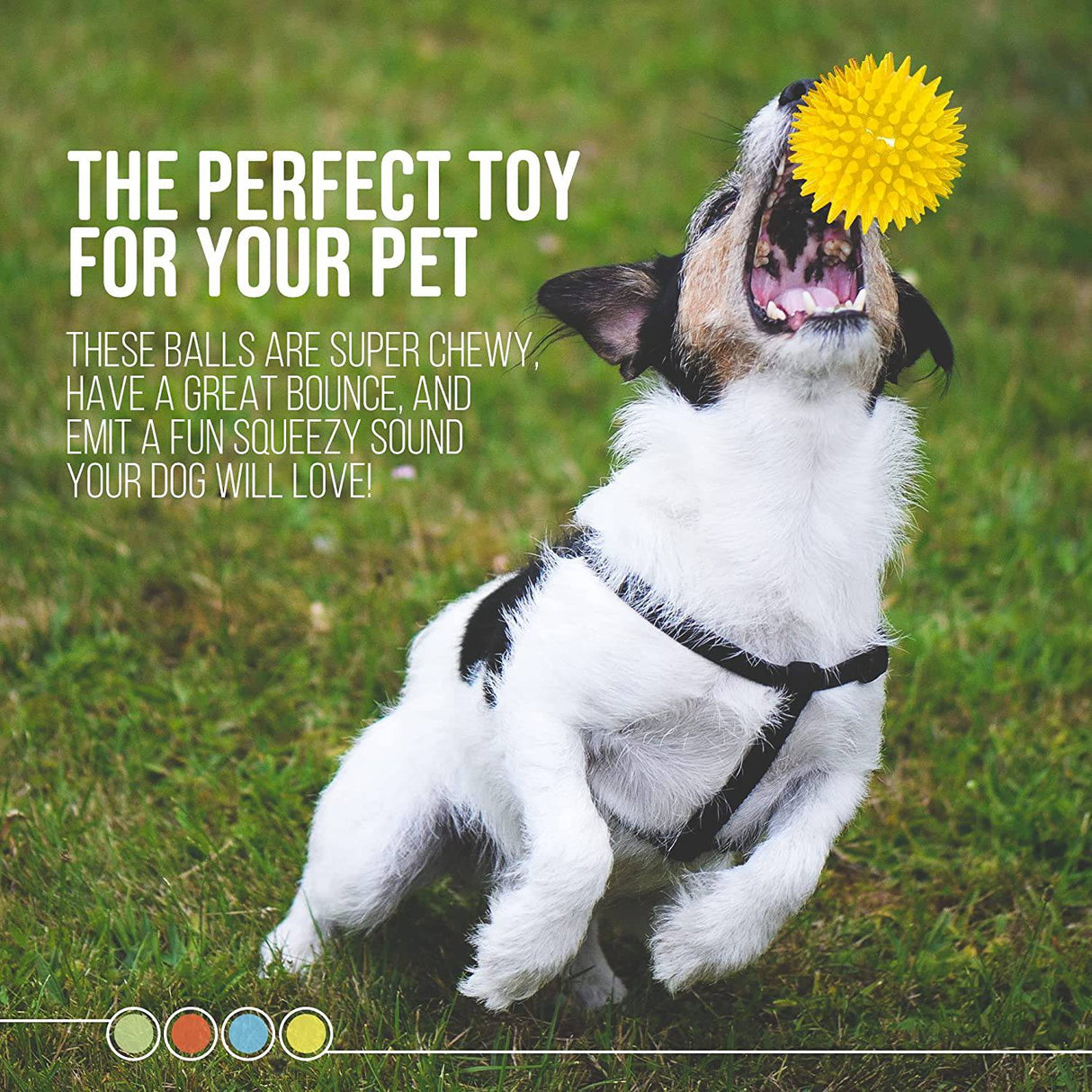 Dipperdap 4-Pack Squeaky Dog Toys 3.5" Spikey Dog Balls | Limpia los dientes para encías más sanas | Juguetes para perros no tóxicos sin BPA para masticadores agresivos | Bolas puntiagudas en rojo, azul, amarillo y verde - DIGVICE MX