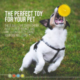 Dipperdap 4-Pack Squeaky Dog Toys 3.5" Spikey Dog Balls | Limpia los dientes para encías más sanas | Juguetes para perros no tóxicos sin BPA para masticadores agresivos | Bolas puntiagudas en rojo, azul, amarillo y verde - DIGVICE MX