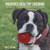 Dipperdap 4-Pack Squeaky Dog Toys 3.5" Spikey Dog Balls | Limpia los dientes para encías más sanas | Juguetes para perros no tóxicos sin BPA para masticadores agresivos | Bolas puntiagudas en rojo, azul, amarillo y verde - DIGVICE MX