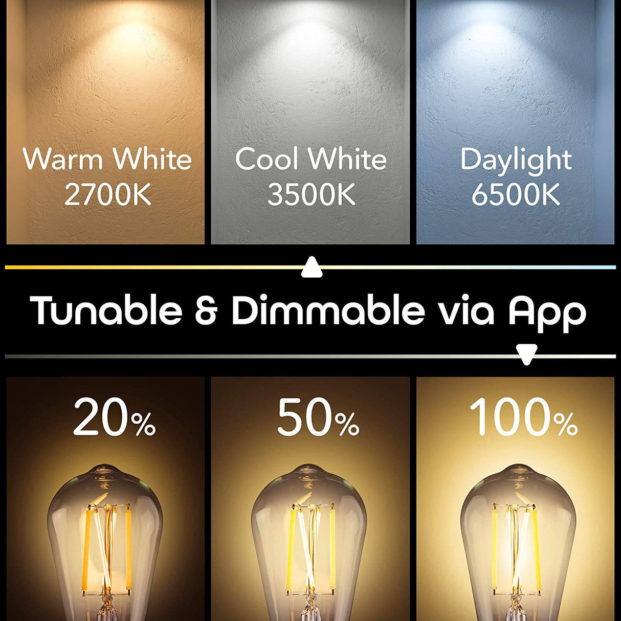 Geeni LUX Edison ST19 Edison WiFi LED Smart Bulb, 2700K - 6500K 8W, base E26, regulable, luz blanca sintonizable, compatible con Amazon Alexa y Google Home, no requiere concentrador, paquete de 2 - DIGVICE MX