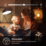 Kasa Smart Wi-Fi LED Bombilla, Filamento A19 E26 Bombilla inteligente, Blanco suave 2700K, Regulable, No requiere concentrador, Compatible con Alexa y Asistente de Google, Estilo antiguo vintage (KL50) - DIGVICE MX