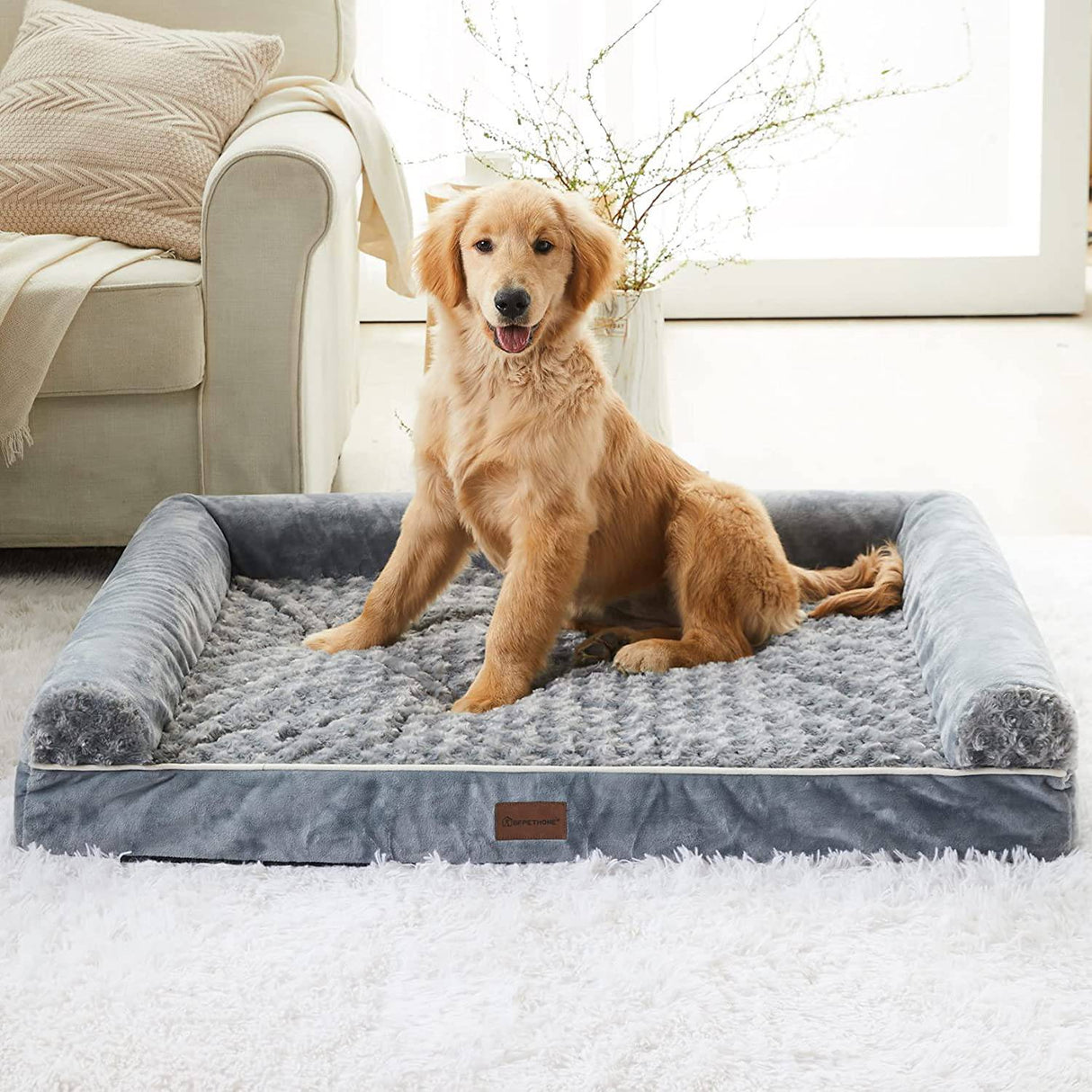 BFPETHOME (L) Camas para perros grandes, cama ortopédica para perros medianos y grandes, de espuma de huevo - DIGVICE MX