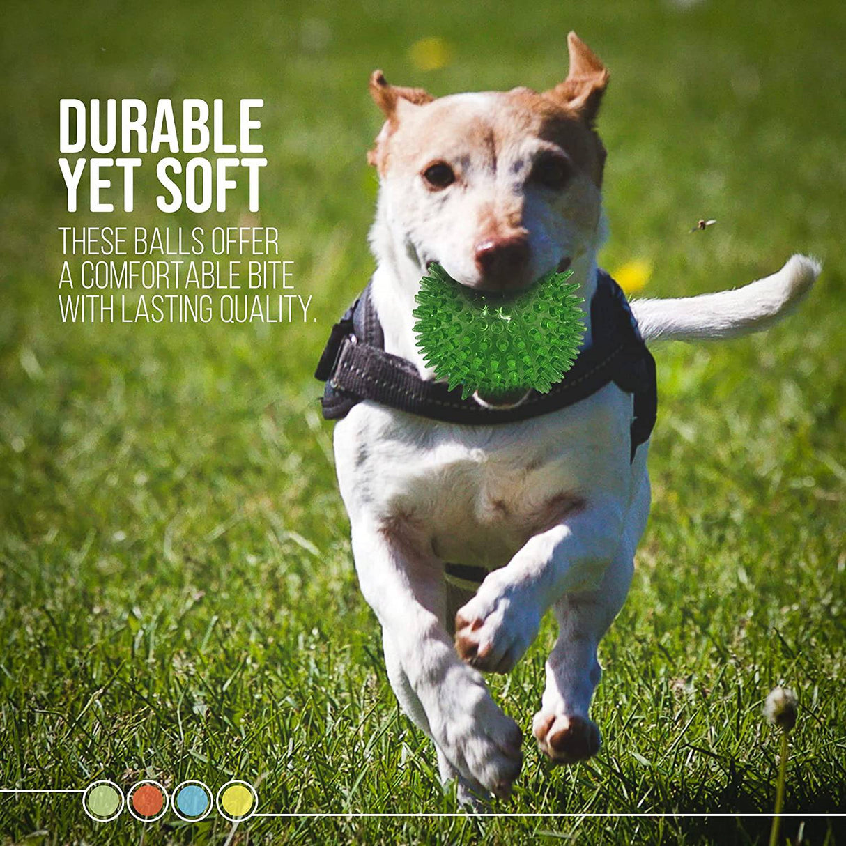 Dipperdap 4-Pack Squeaky Dog Toys 3.5" Spikey Dog Balls | Limpia los dientes para encías más sanas | Juguetes para perros no tóxicos sin BPA para masticadores agresivos | Bolas puntiagudas en rojo, azul, amarillo y verde - DIGVICE MX