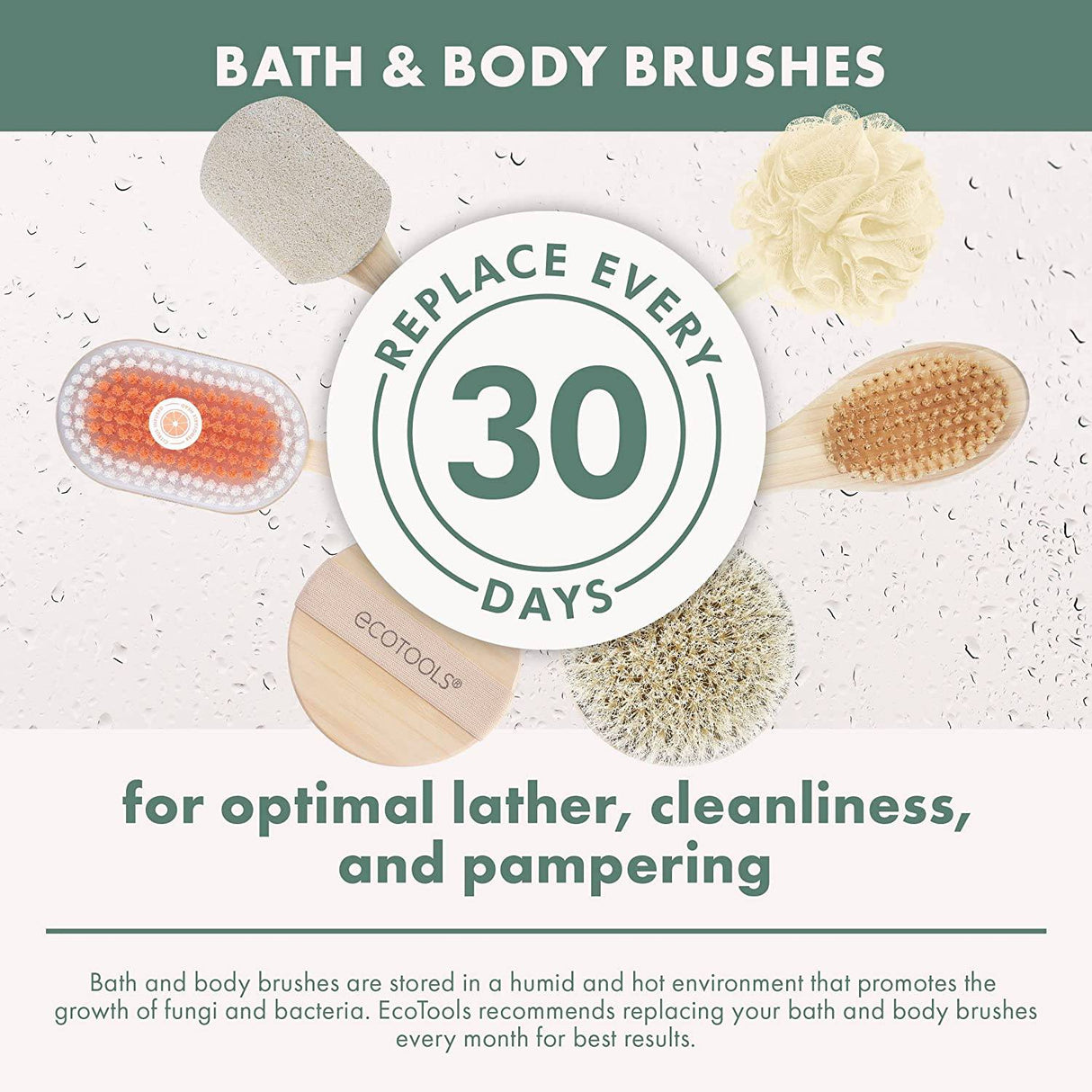 EcoTools Cepillo de baño de cerdas suaves, cepillo de ducha de mango largo, exfoliante suave para la espalda y el cuerpo