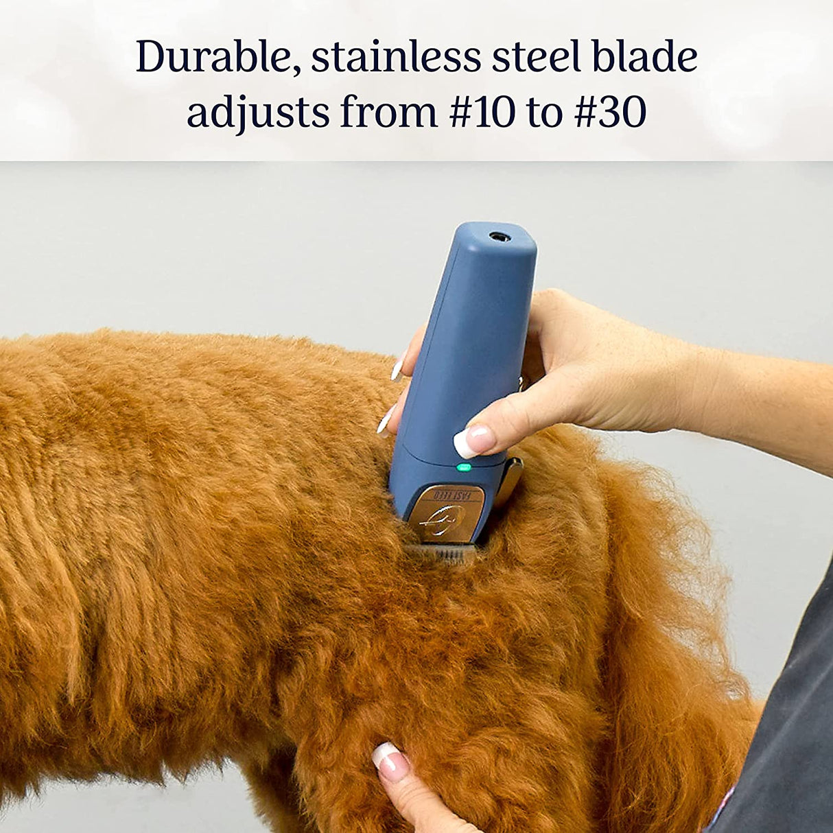 Oster Professional Fast Feed Cortapelos inalámbrico para mascotas 2143932
