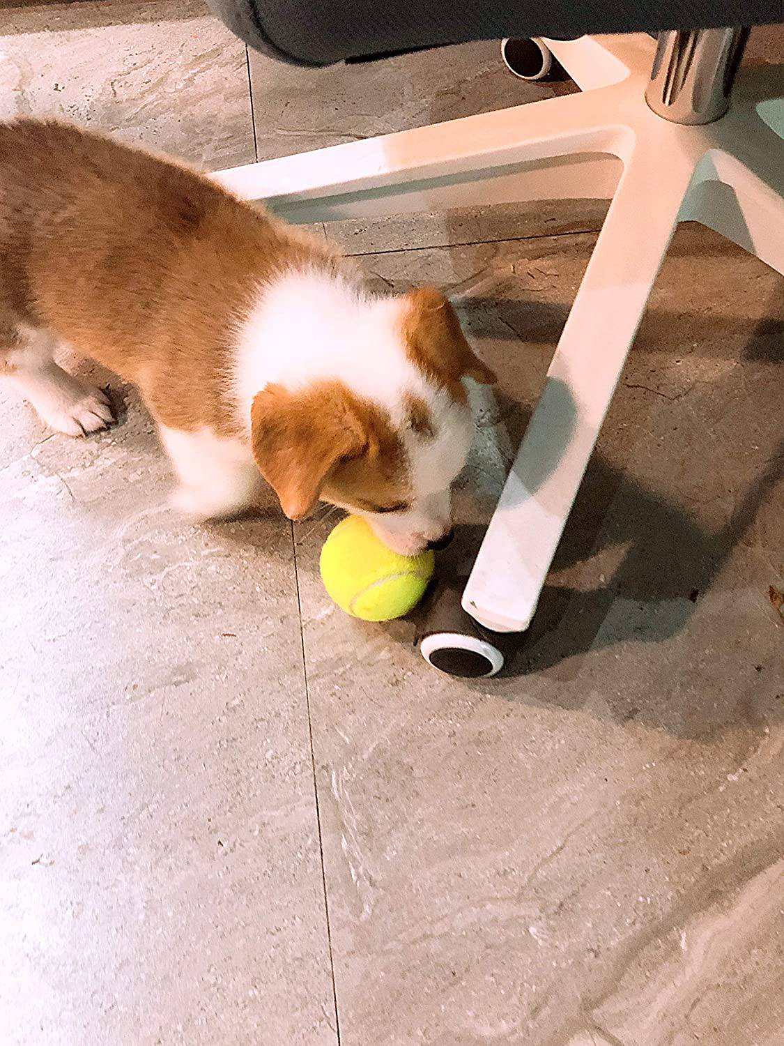 Insum - Pelota de tenis para perro (paquete de 12, colorida, fácil de atrapar, para perros,… - DIGVICE MX