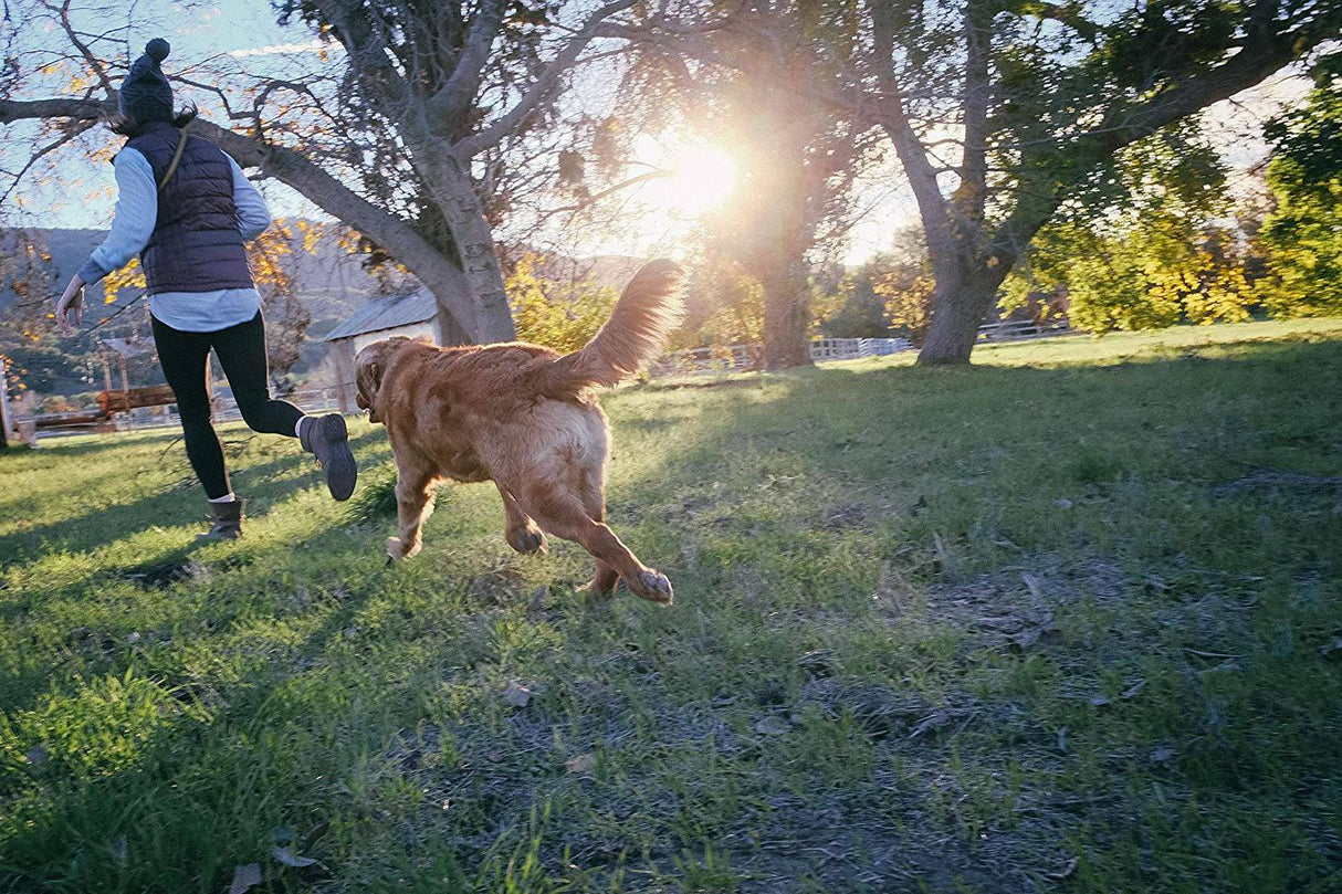 Jolly Pets Tug-N-Toss - Pelota de juguete para perros - DIGVICE MX