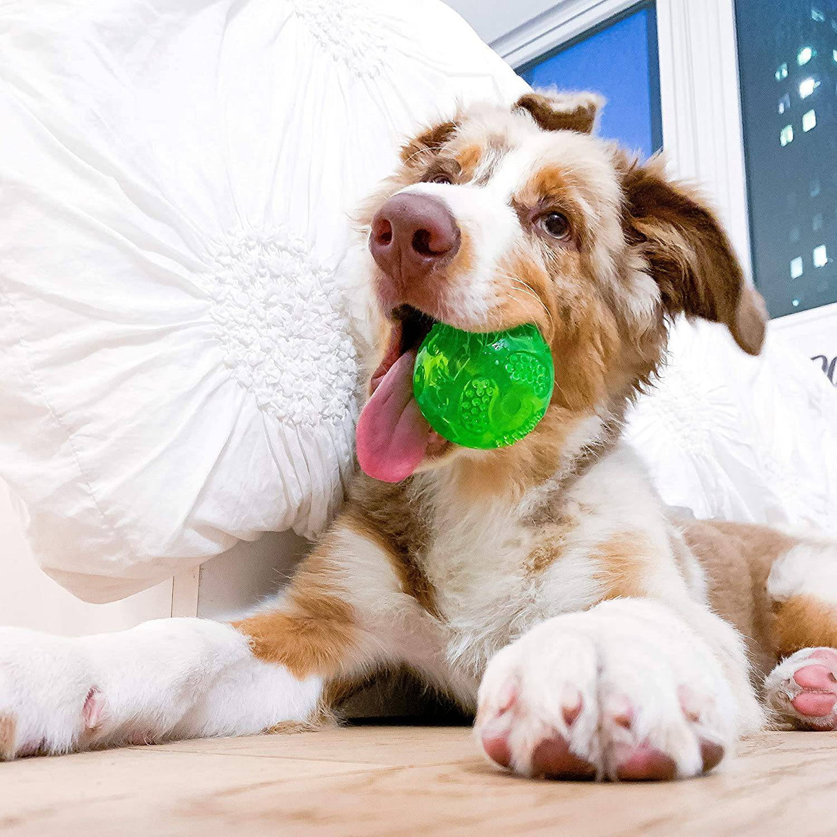 Hyper Pet DuraSqueak Dog Ball Juguetes para perros (juguetes interactivos para perros que flotan y chirrían) - DIGVICE MX