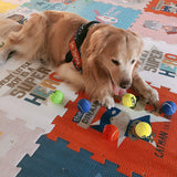 Insum - Pelota de tenis para perro (paquete de 12, colorida, fácil de atrapar, para perros,… - DIGVICE MX